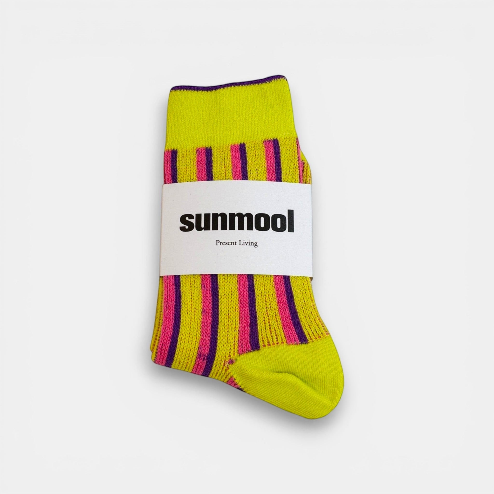 Dual Stripe Socks — Sunmool Set