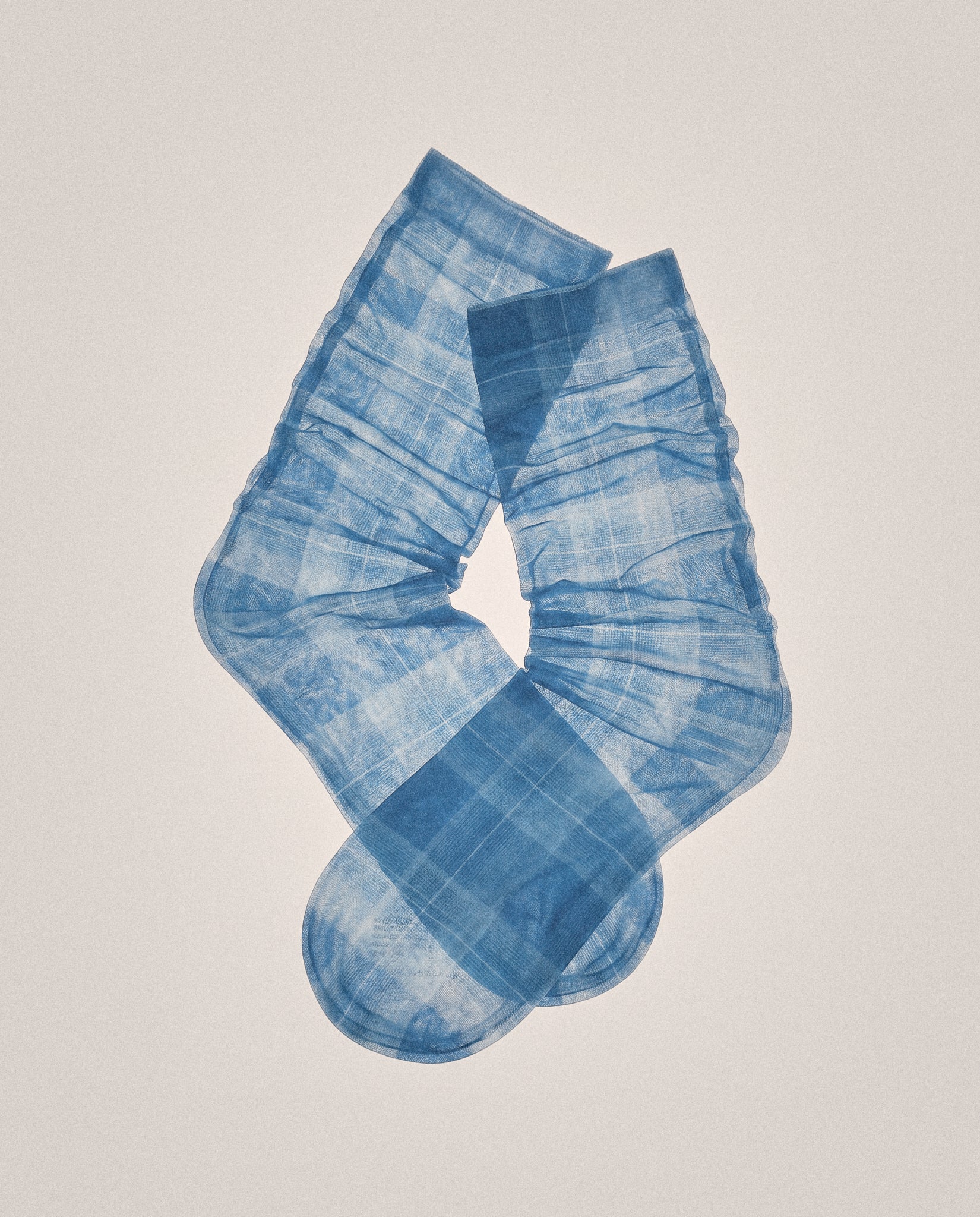 Glass Garden Check Socks — Blue